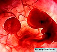 Stress causes more abortions of male fetuses than female