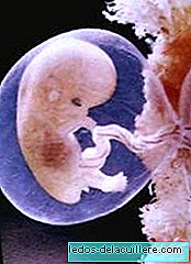 Amniotická tekutina a co bychom měli vědět