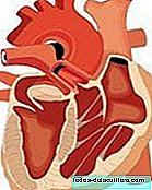 Les stimulateurs cardiaques pour enfants peuvent être remplacés grâce à des tests avec du tissu cellulaire développé chez la souris
