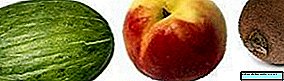 Melon, kiwi og fersken, de mest allergiske fruktene