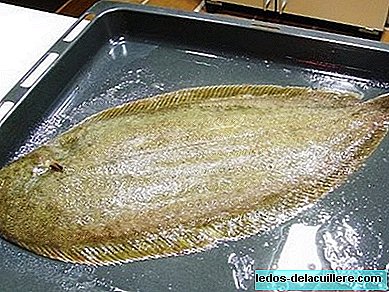 유아 수유중인 물고기 : 흰살 생선