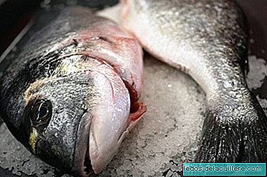 Fisk i spædbarnsfodring: halvfed fisk