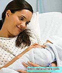 O recém-nascido, no quarto ou no ninho?