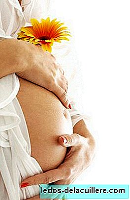 Graviditet måned for måned: tredje måned