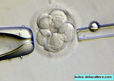 Viacnásobné tehotenstvo pomocou asistovanej reprodukcie