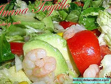 Prawn and avocado salad. Recipe for pregnant women