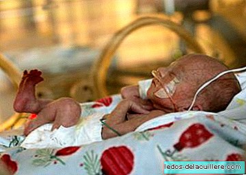 Quartos "útero" para bebês prematuros