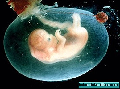They mistakenly implant an embryo of another couple and the mother will deliver the baby