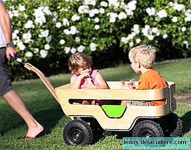 Kaiku Zen Super Wagon: una bella macchina per portare i bambini