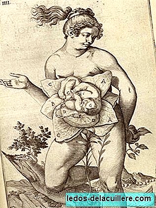 Nėštumo anatomija senovės iliustracijose