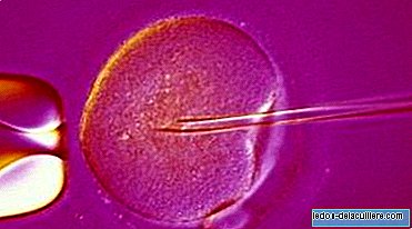 Angst und Depression würden den Erfolg der In-vitro-Fertilisation nicht beeinträchtigen