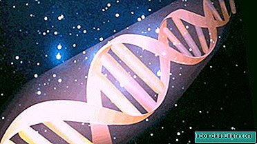 Genetikk: gener og kromosomer