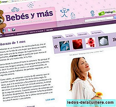 The Baby Guide and more: all the information about the stages of pregnancy and the baby