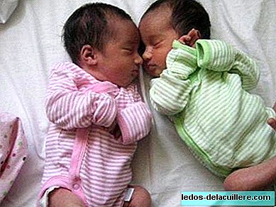 Výskyt dvojčat je jedno z 80 těhotenství, v současné době je jedno ze 45
