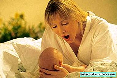 Babyens omgængighed: dens faser i det første leveår
