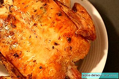 Vlees bij zuigelingenvoeding: kip, kalkoen en konijn