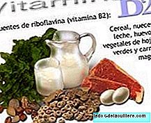 Funcțiile vitaminei B2