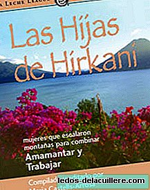 Hirkani's daughters: a book about working and breastfeeding