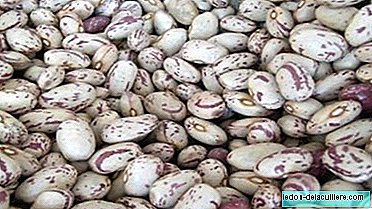 Legumes in infant feeding: beans