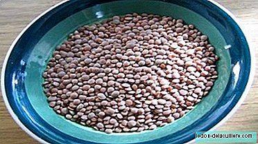 乳児の授乳中のマメ科植物：レンズ豆