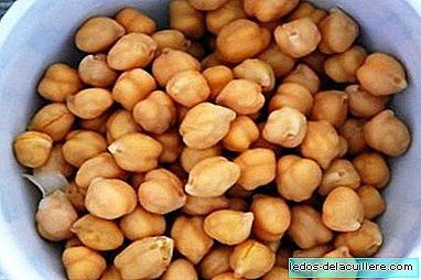 Legumes in infant feeding: chickpeas