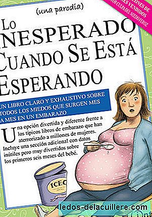 "The unexpected when you are waiting", fun book for future moms