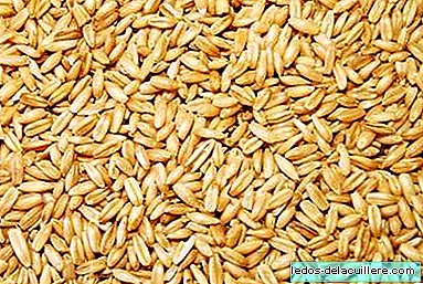 Sereal dalam pemberian makanan bayi: gandum
