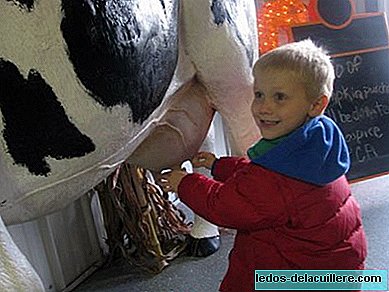 Mléčné výrobky v kojeneckém výživě: kravské mléko