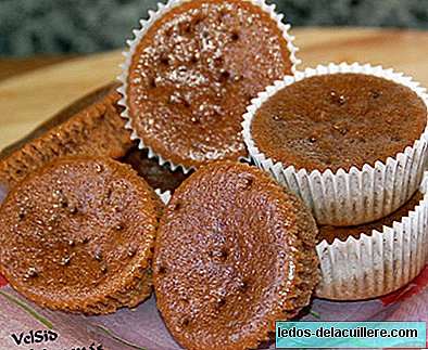 Cocoa muffins, homemade recipe