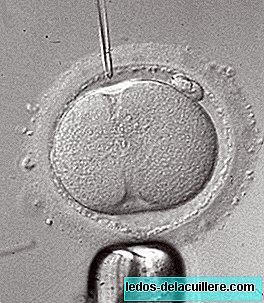 Em bé đầu tiên của Vương quốc Anh được thụ thai bằng phương pháp thủy tinh hóa được sinh ra