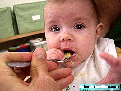 Sem sal na comida do bebê