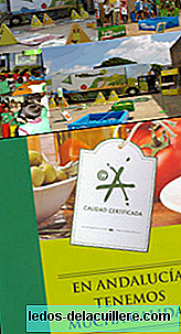 Andalusian children will know in the summer camp the quality of the products of their land
