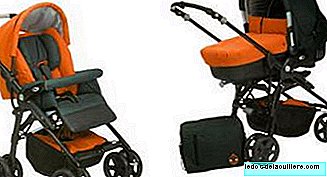 New protective bars for the Carrera-Pro strollers (Jané)