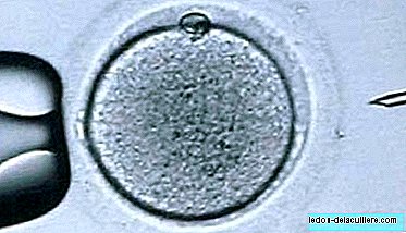 Ensimmäinen raskaana johtuen munasarjojen kudoksen uudelleenistuttamisesta syövän jälkeen