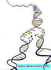Genetische tests om vrije erfelijke ziekten te voorkomen