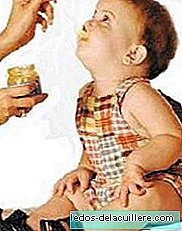 Paketlenmiş püreler, bebek beslenmesi için ideal bir tamamlayıcıdır