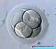 Τι να κάνει με τα κατεψυγμένα έμβρυα που απομένουν από μια διαδικασία γονιμοποίησης in vitro;
