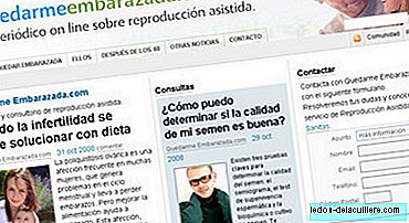 Stay Embarazada.com, online newspaper for couples with fertility problems