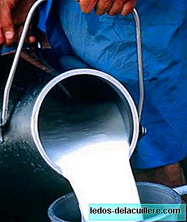 Kết quả xét nghiệm: 10% mẫu sữa Trung Quốc bị ô nhiễm