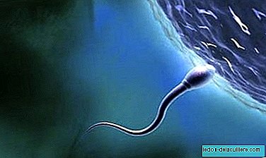 Avoir des relations sexuelles au quotidien améliore la qualité du sperme