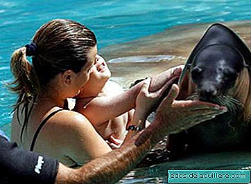 Sea lion therapy for autistic children