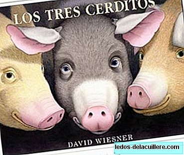 A different story about the three little pigs