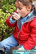 A gene predisposes to increase the risk of childhood asthma