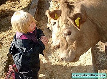 A four-year-old girl who only talks to animals, Rose Willcocks