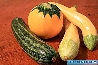 Grønnsaker i spedbarnsfôring: gresskar og courgette