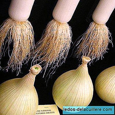 Овощи в грудном вскармливании: лук и лук-порей