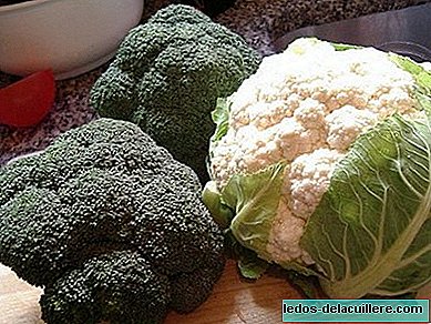 Grønnsaker i spedbarnsfôring: blomkål og brokkoli