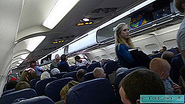 In getrennten Flugzeugen reisen?