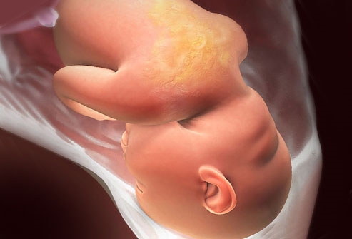 A terhesség 34. hete: belépés az utolsó szakaszba