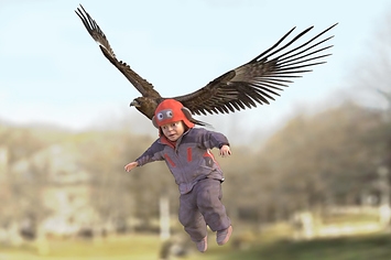 Een gouden adelaar vangt een baby in een park om hem te laten vliegen ... neeeeee!